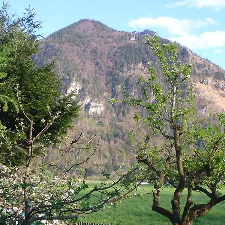 Apartamento Buchner | Chiemgau Karte