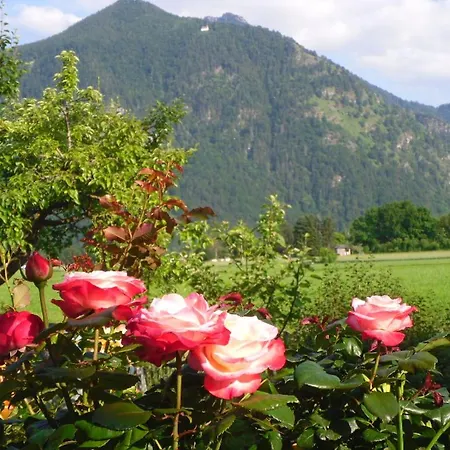 Buchner | Chiemgau Karte Grassau (Bavaria)
