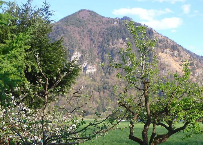 شقة Buchner | Chiemgau Karte
