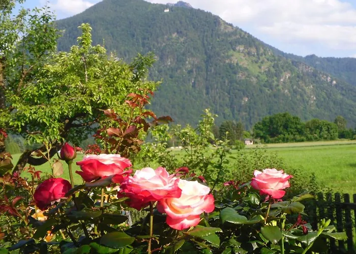 Buchner | Chiemgau Karte Grassau (Bavaria)